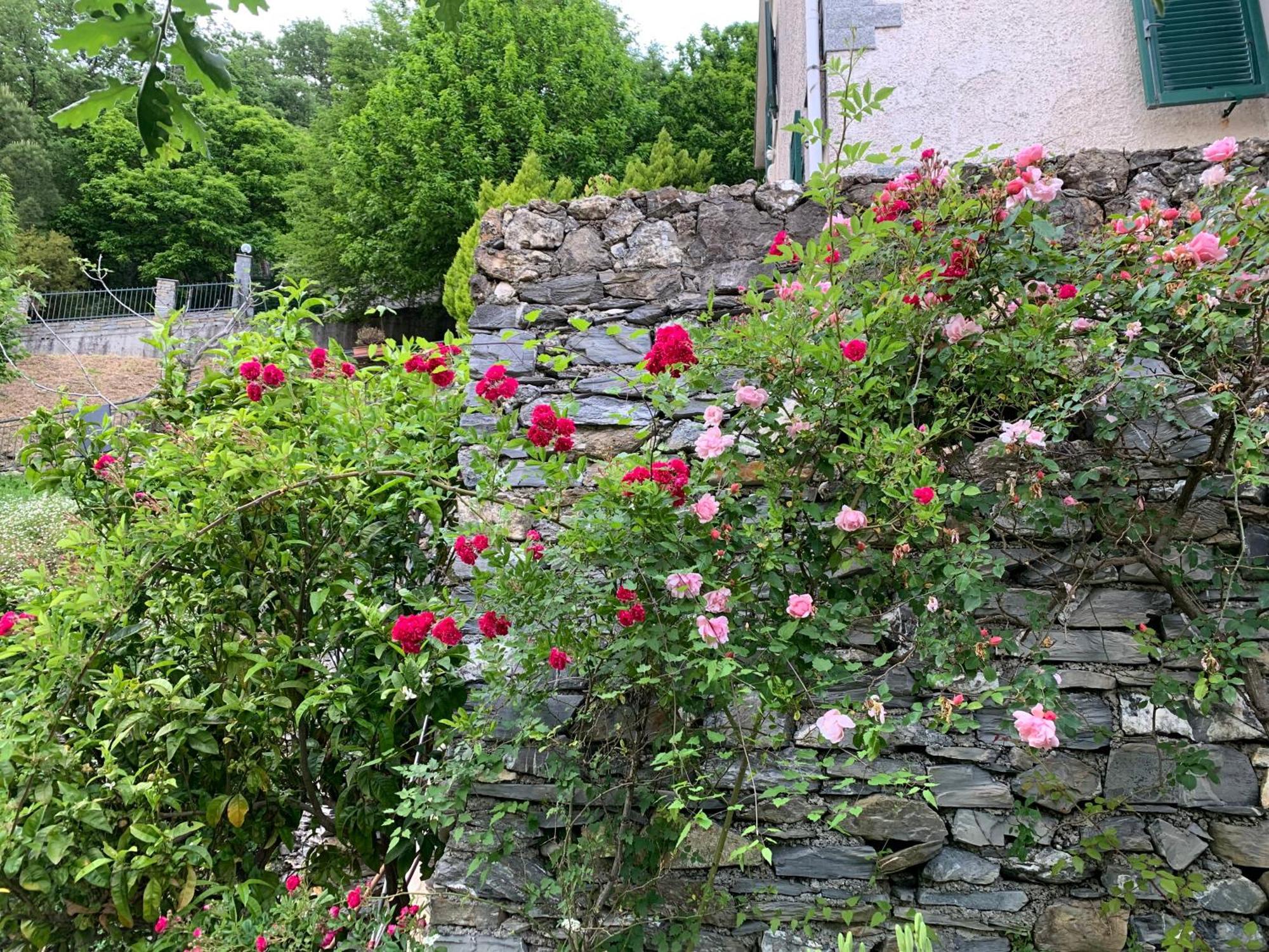 Willa Il Giardino Di Piero - Lt-0029 Salto Chiesa Zewnętrze zdjęcie